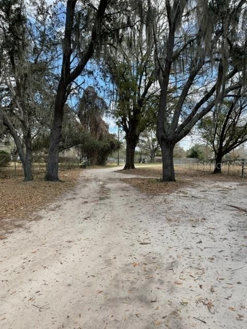 Dirt Road leading to the lot