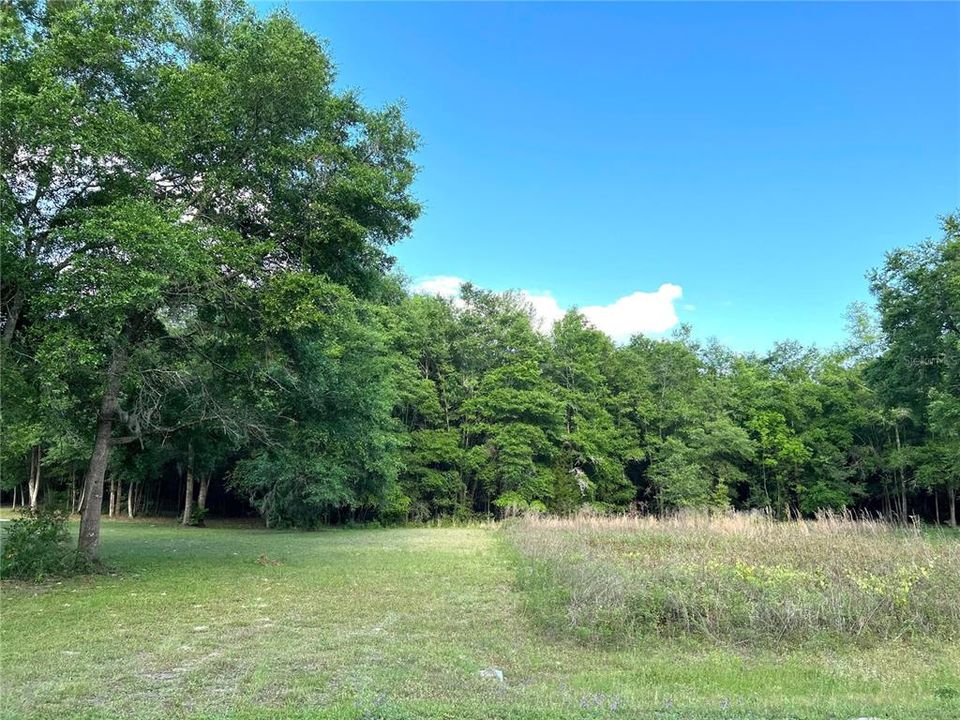 Recently Sold: $35,000 (1.25 acres)