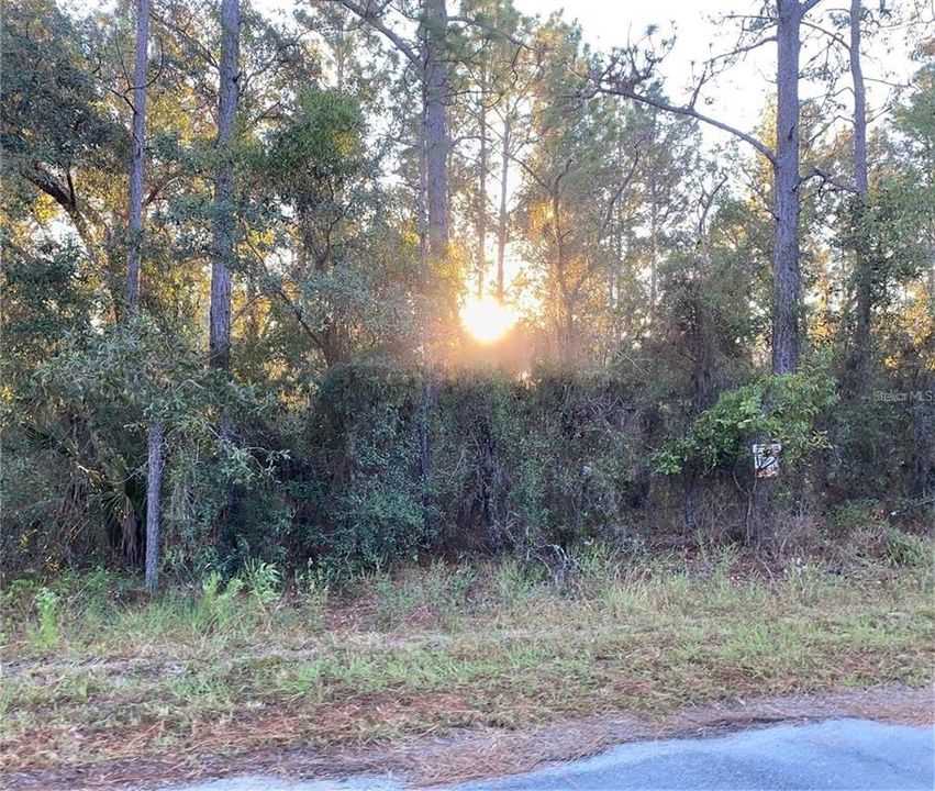 Recently Sold: $25,000 (0.99 acres)