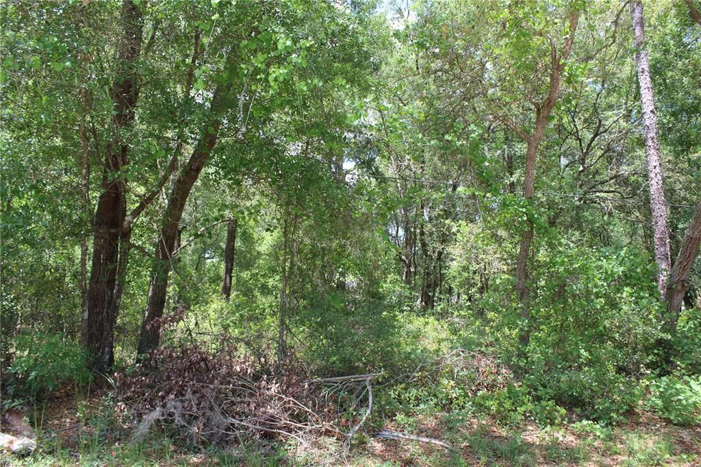 Recently Sold: $44,500 (0.17 acres)