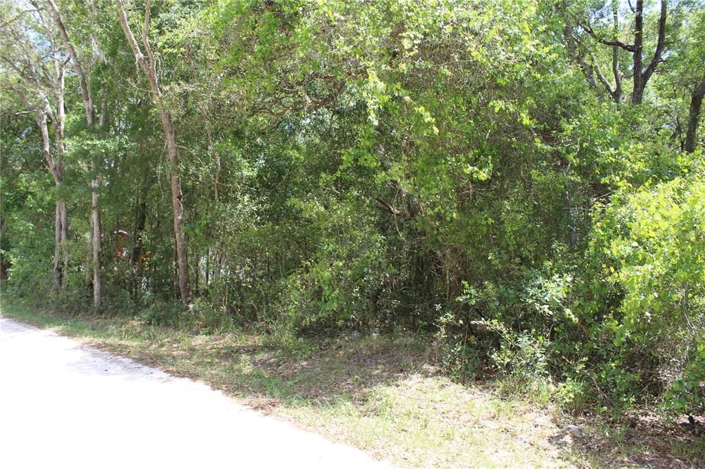 Vendido Recientemente: $44,500 (0.17 acres)