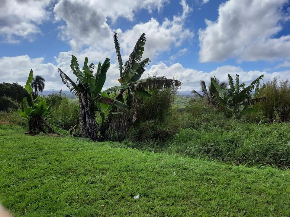 Recently Sold: $40,000 (0.22 acres)