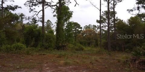 Recently Sold: $39,900 (2.57 acres)