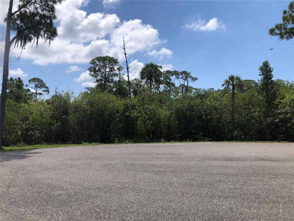 Recently Sold: $100,000 (0.91 acres)