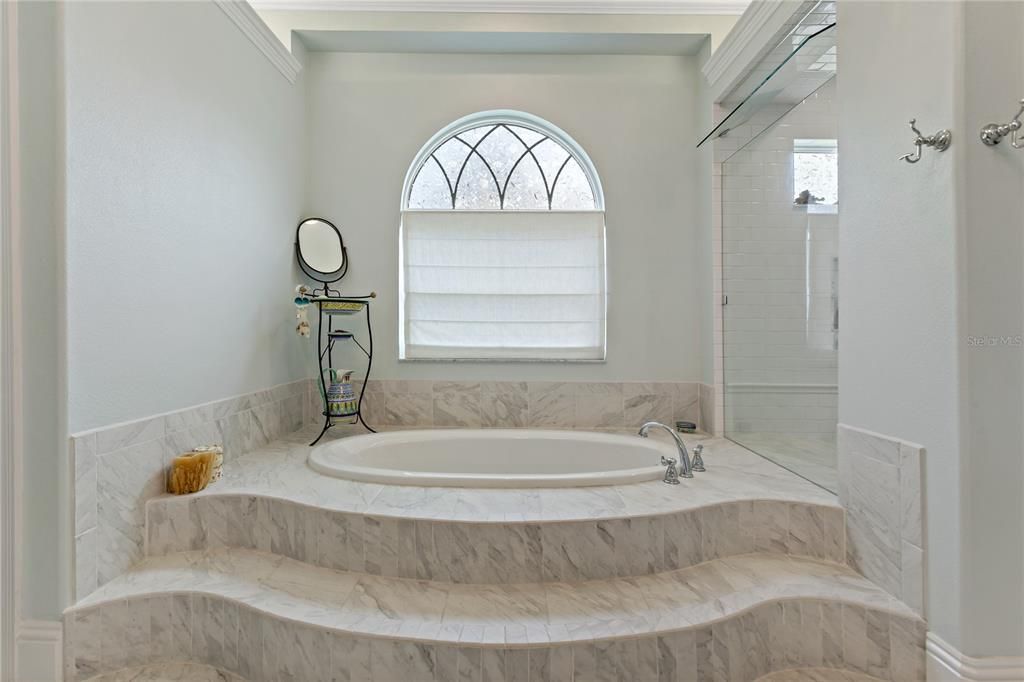 UNBELIEVABLE MASTER BATH TUB ~ YOU WILL LOVE RELAXING IN HERE!