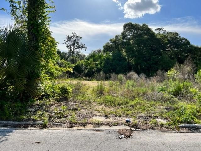 Vendido Recientemente: $35,000 (0.31 acres)