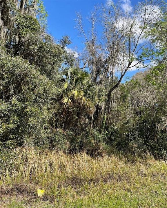 Vendido Recientemente: $75,000 (3.01 acres)