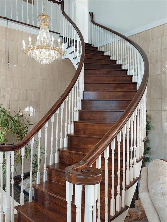 Beautiful Chandelier lights the staircase