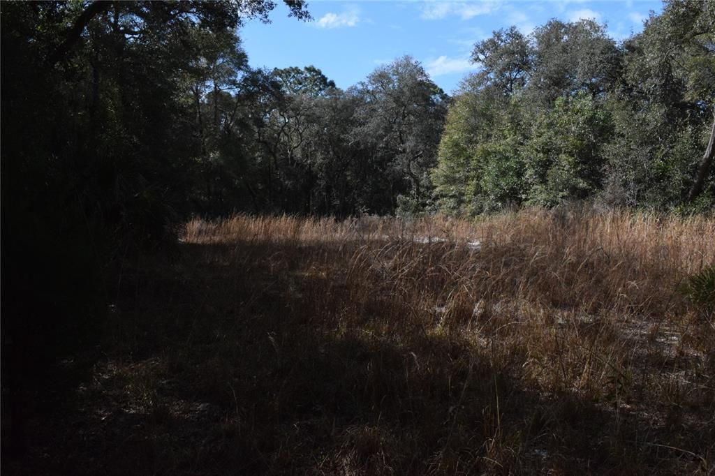 Recently Sold: $41,200 (0.84 acres)