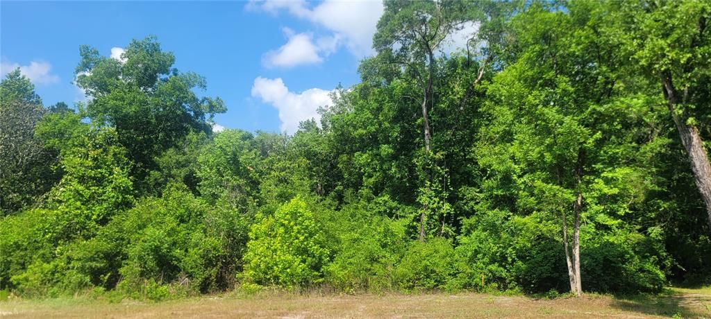 Недавно продано: $85,000 (3.54 acres)