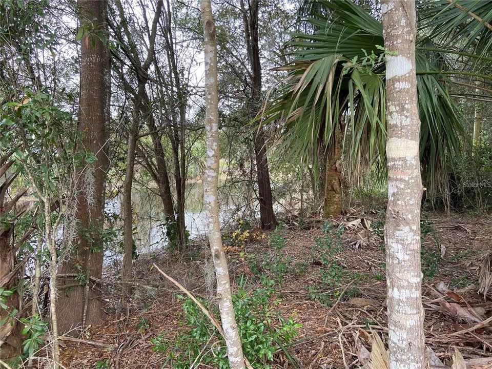 Recently Sold: $25,400 (0.55 acres)