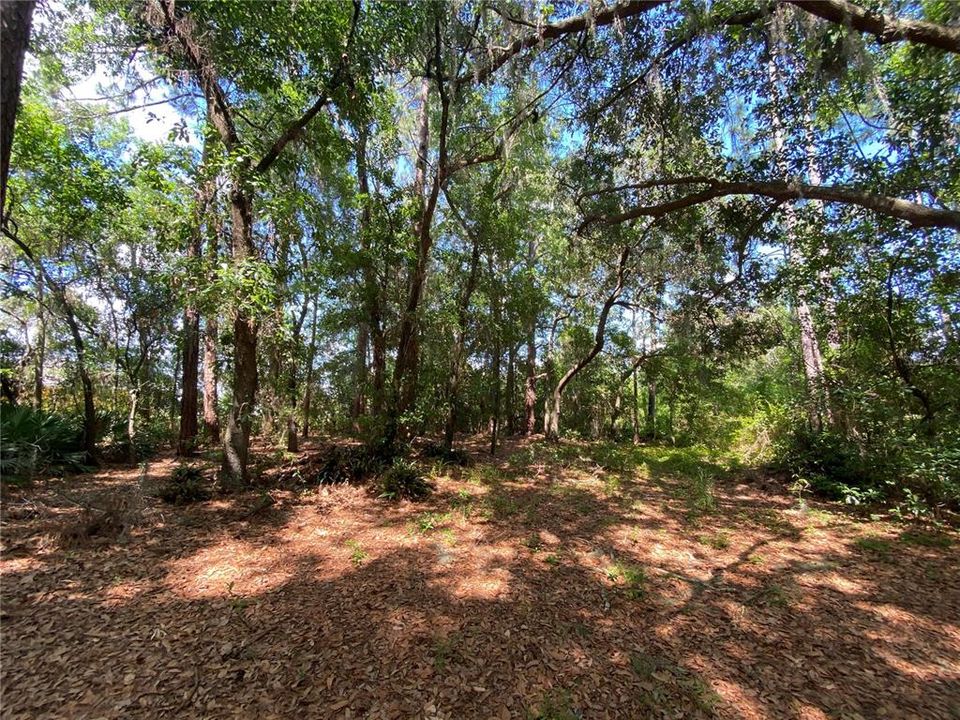 Recently Sold: $49,000 (3.10 acres)