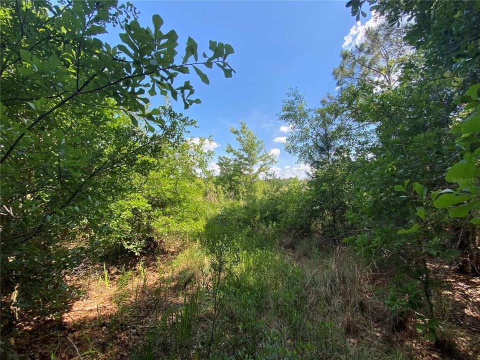 Recently Sold: $49,000 (3.10 acres)