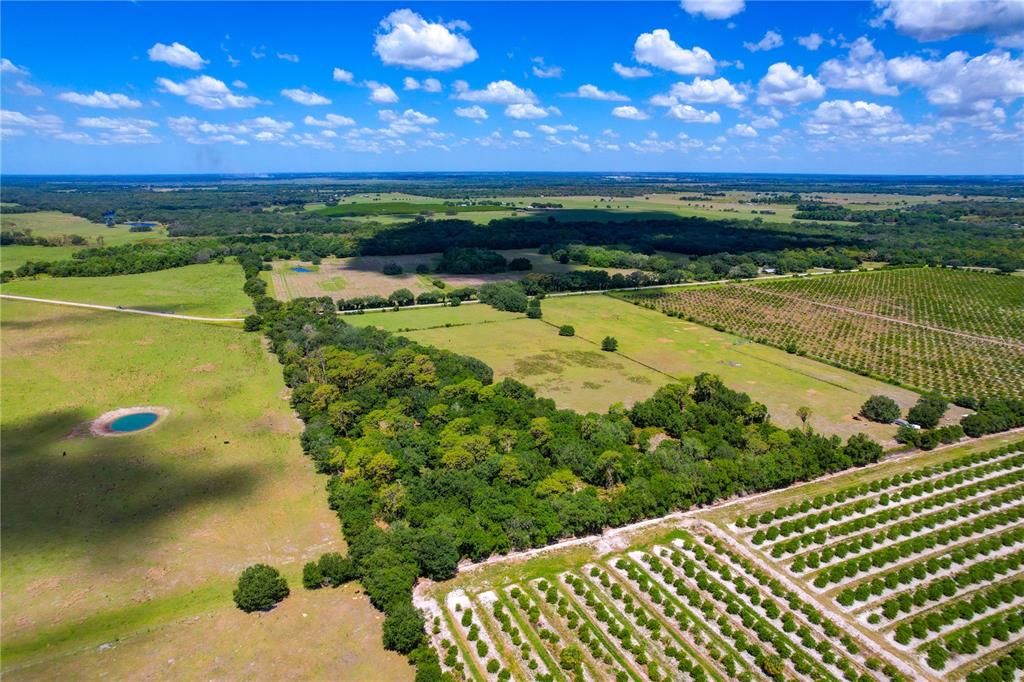 Recently Sold: $645,000 (20.00 acres)