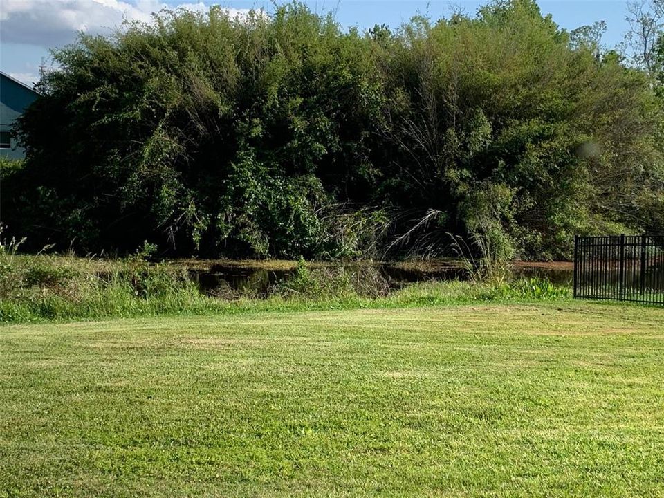 Canal view from back deck