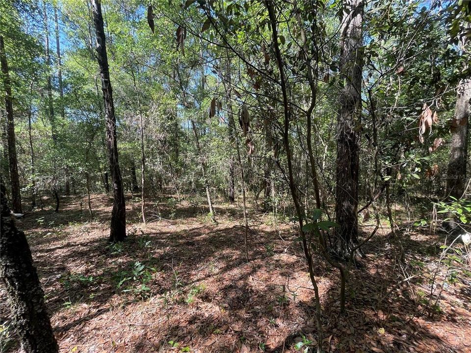 Recently Sold: $39,000 (4.14 acres)