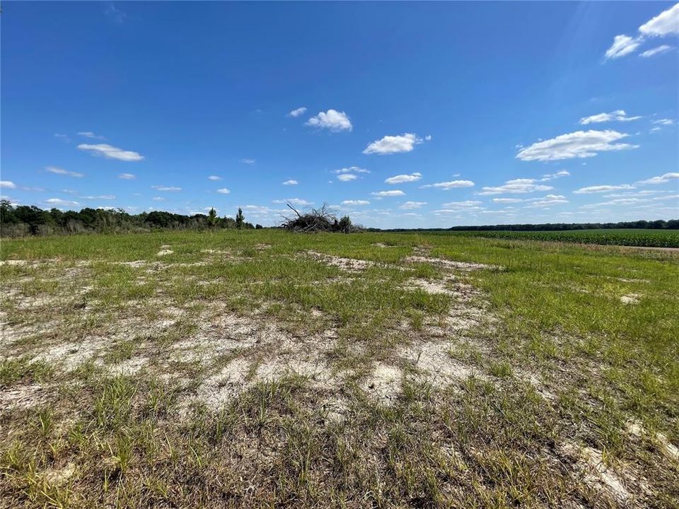 Recently Sold: $39,000 (4.14 acres)