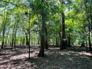 Recently Sold: $49,000 (0.65 acres)