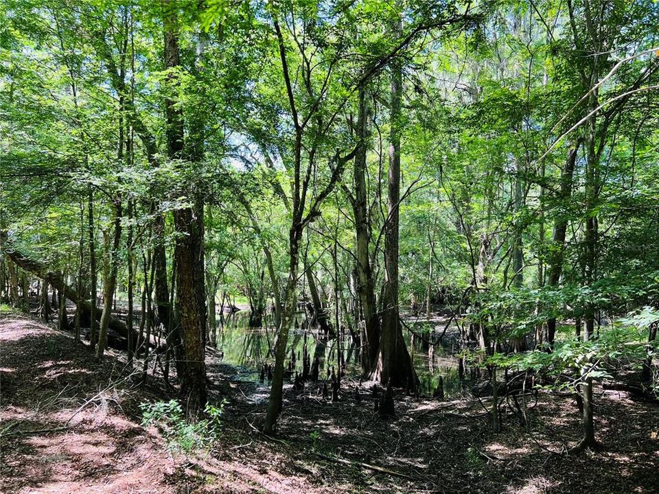 Recently Sold: $69,000 (6.52 acres)