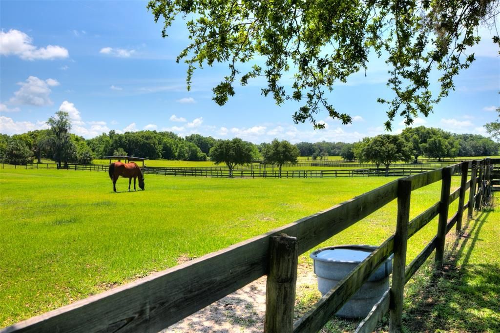 Vendido Recientemente: $914,000 (4 camas, 2 baños, 2166 Pies cuadrados)