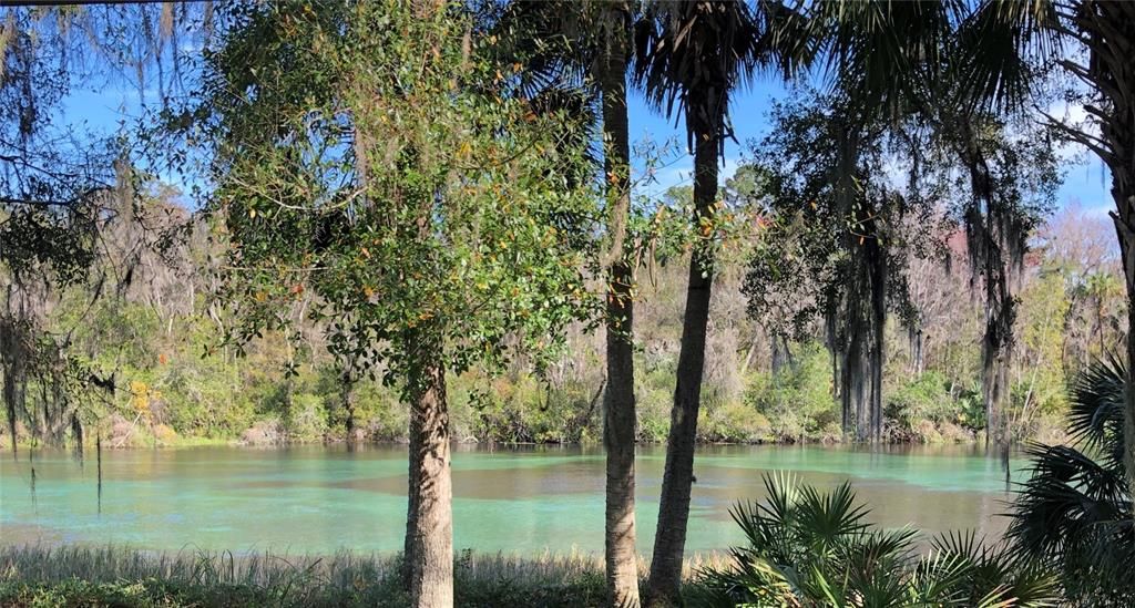 STATE PARKS ARE AT RAINBOW RIVER 10-15 MINUTES FROM THIS HOME HERE IS THE CRYSTAL CLEAR SPRING FED RIVER