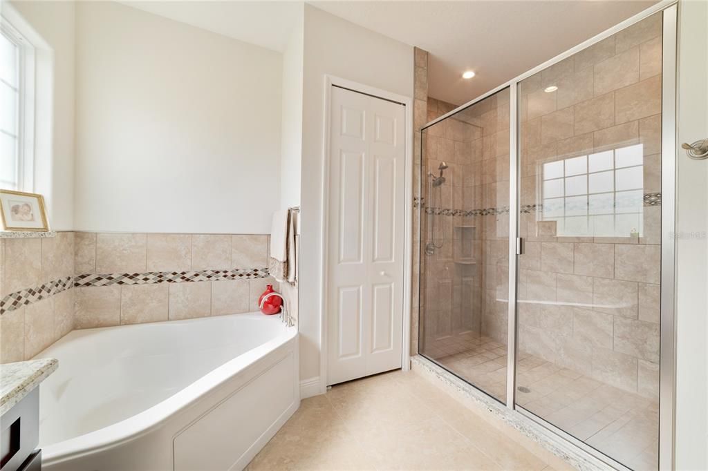 Main Bathroom (Master Bathroom) Tub & Shower