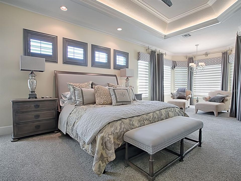 MASTER BEDROOM!  LIGHTED TRAY CEILING!