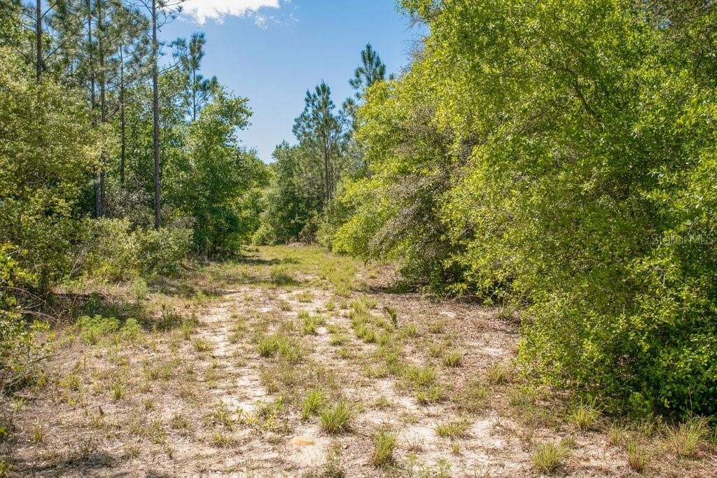 Recently Sold: $5,800 (0.22 acres)