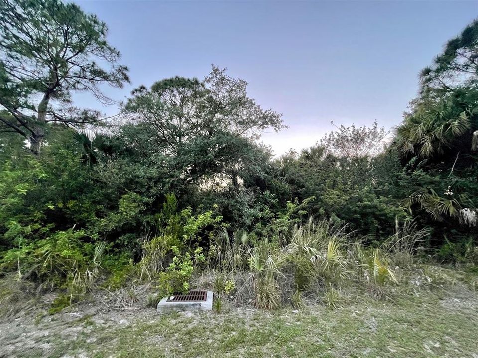 Vendido Recientemente: $35,000 (0.50 acres)