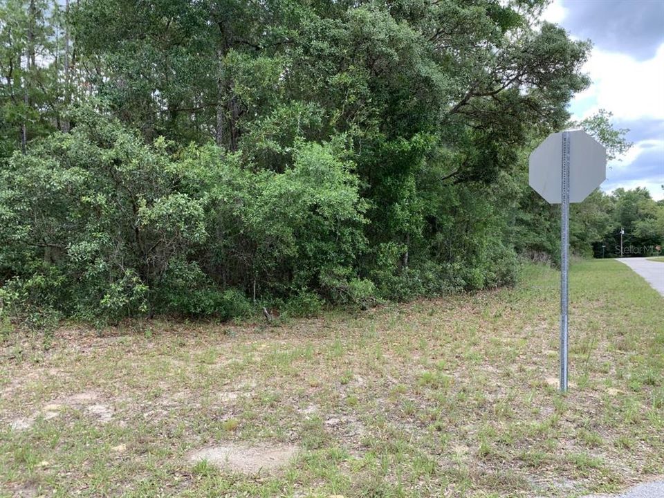 Recently Sold: $30,000 (1.03 acres)