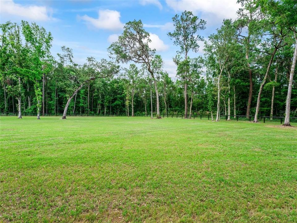 Fenced Pasture