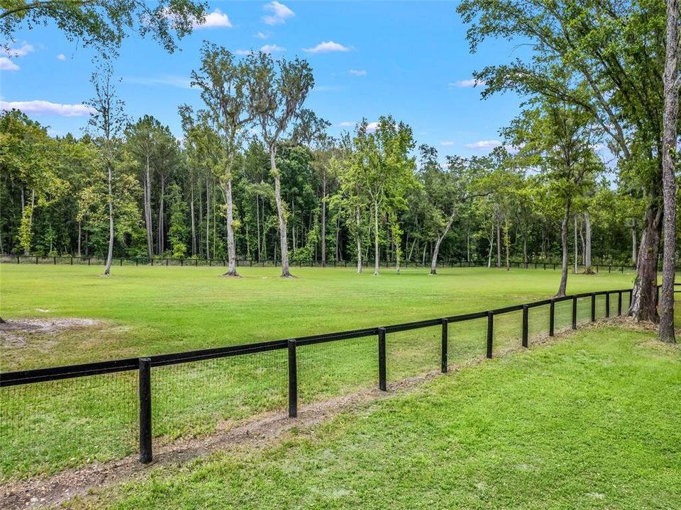 Fenced Pasture