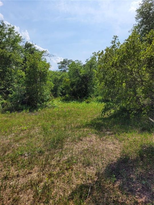 Recently Sold: $89,500 (5.00 acres)