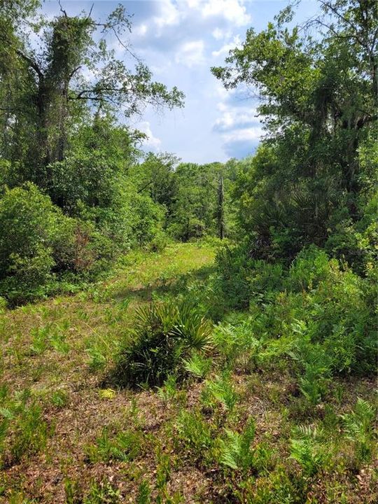 Recently Sold: $89,500 (5.00 acres)