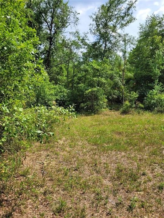 Recently Sold: $89,500 (5.00 acres)