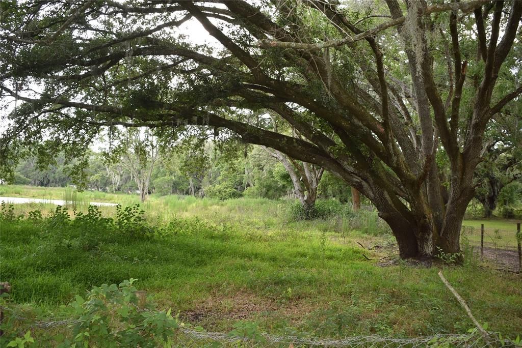 Vendido Recientemente: $1,990,000 (19.64 acres)