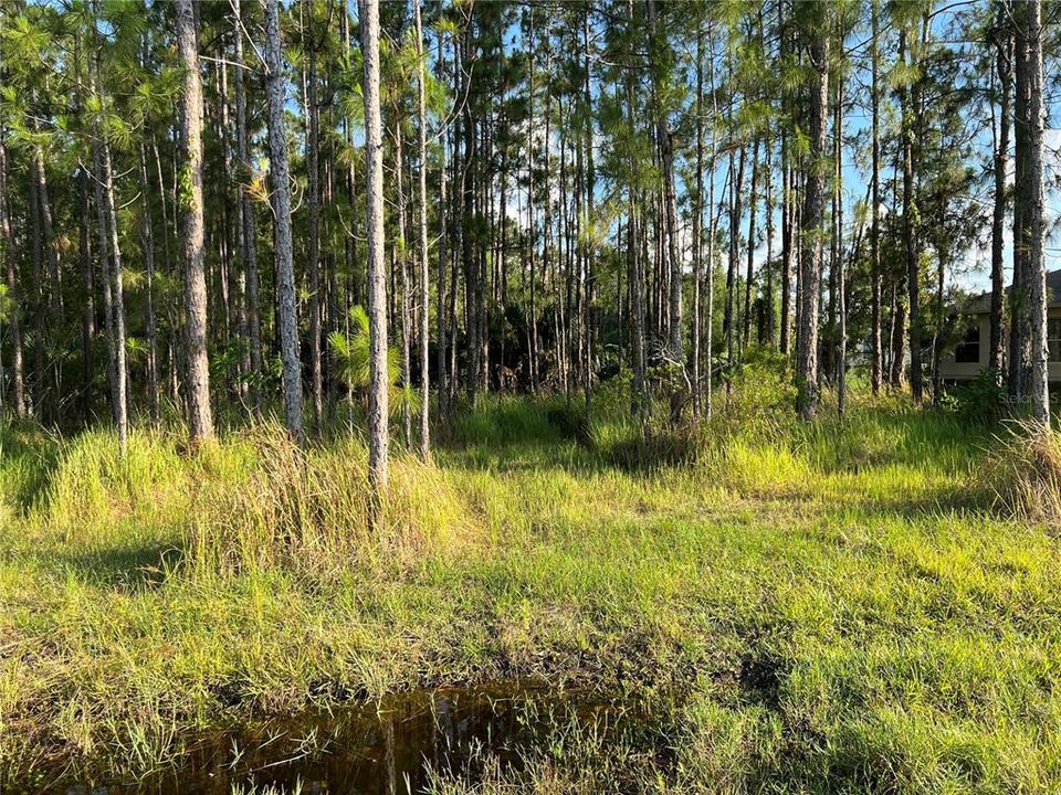 Recently Sold: $35,000 (0.22 acres)