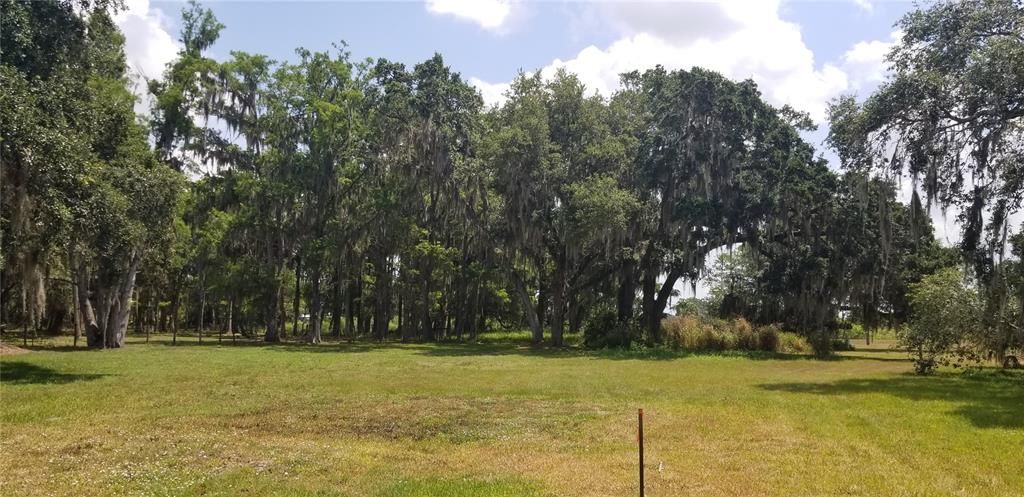 Recently Sold: $38,000 (0.33 acres)