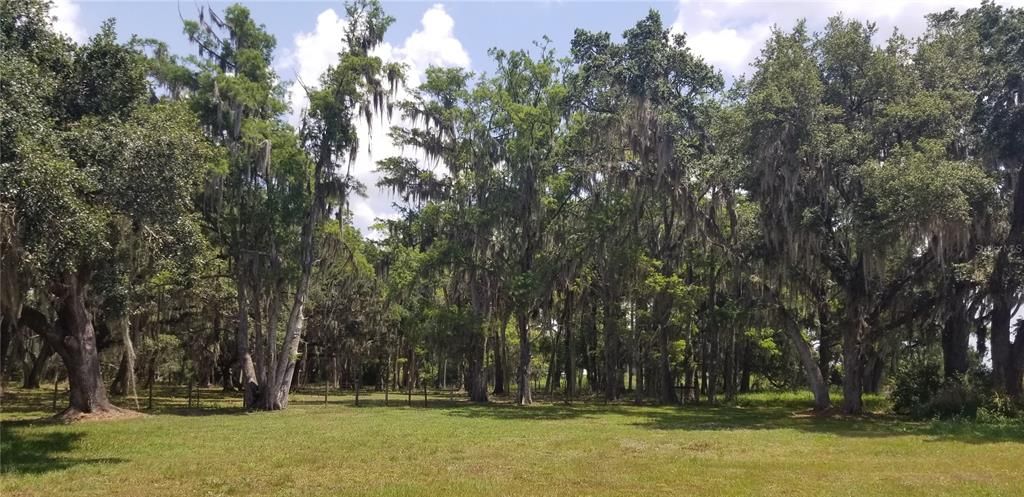 Recently Sold: $38,000 (0.33 acres)