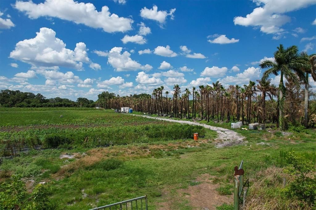 Vendido Recientemente: $159,900 (10.00 acres)