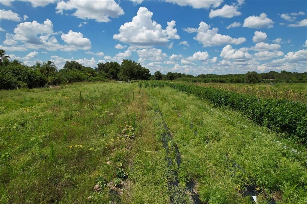 Vendido Recientemente: $159,900 (10.00 acres)