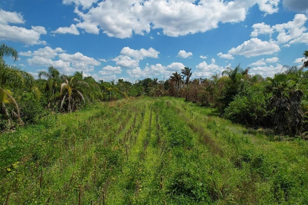 Vendido Recientemente: $159,900 (10.00 acres)