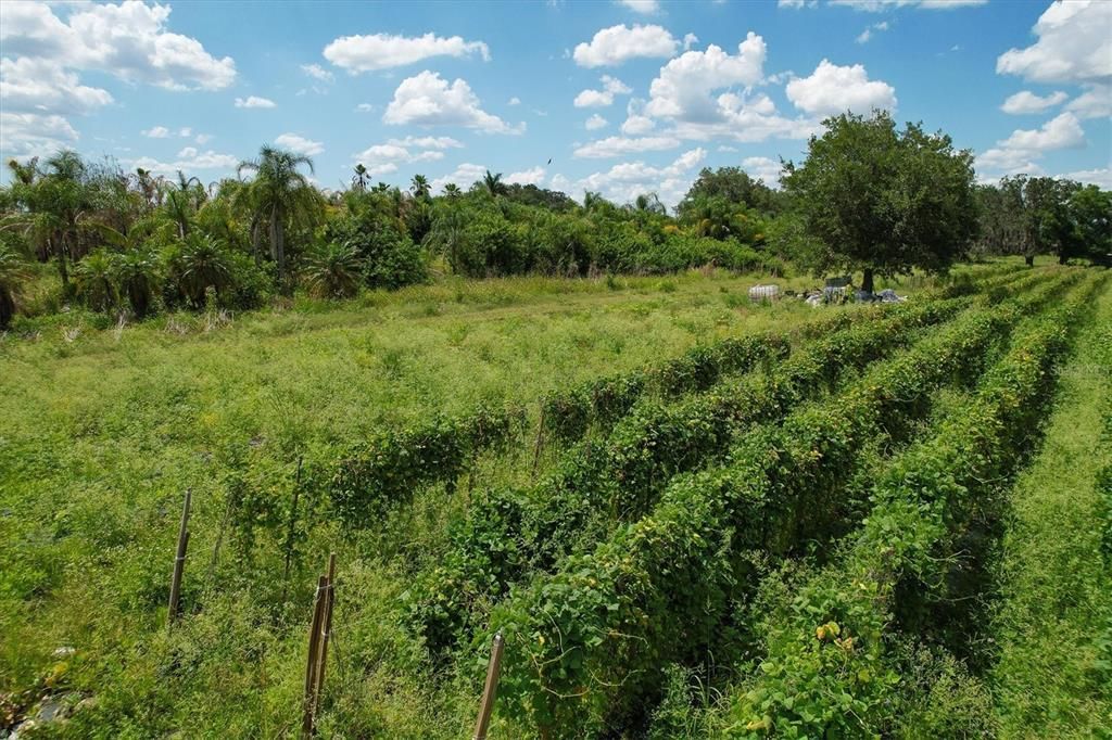 Vendido Recientemente: $159,900 (10.00 acres)