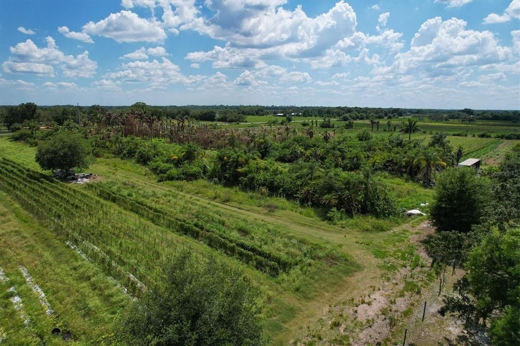 Недавно продано: $159,900 (10.00 acres)