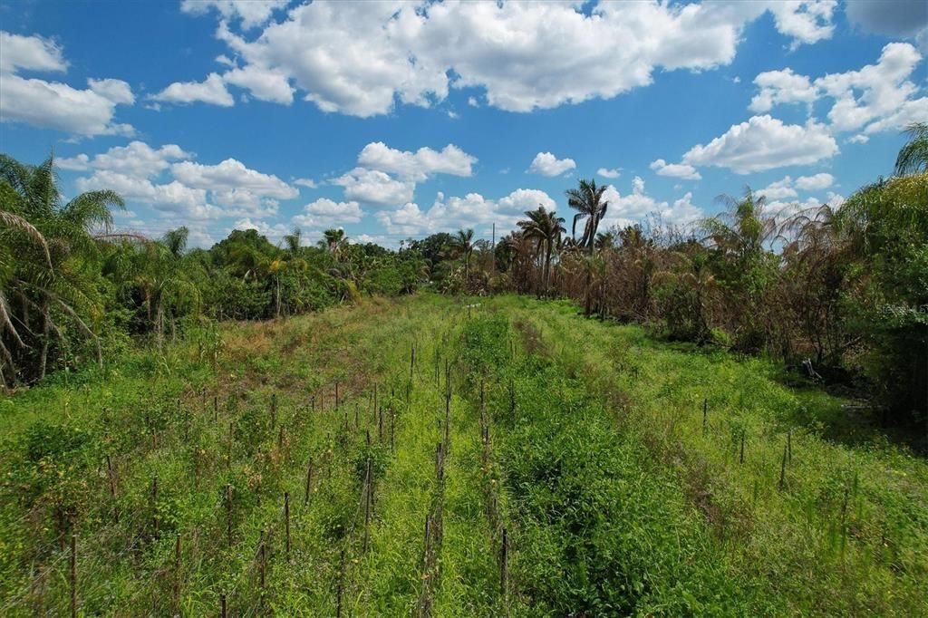 Vendido Recientemente: $159,900 (10.00 acres)