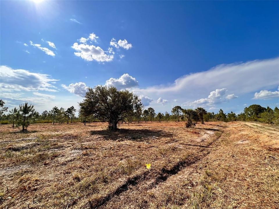 Недавно продано: $82,500 (5.00 acres)