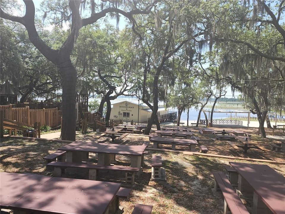 JUNGLE JIM & PICNIC AREA AT THE PARK