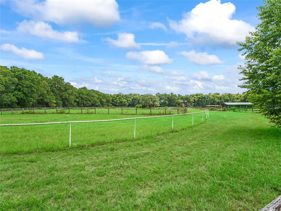 View of Gallop Track