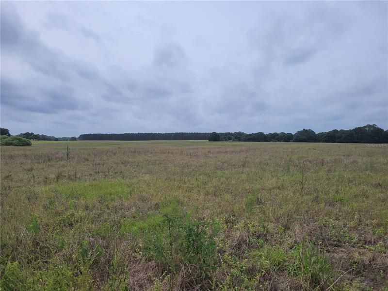 For Sale: $715,000 (20.00 acres)