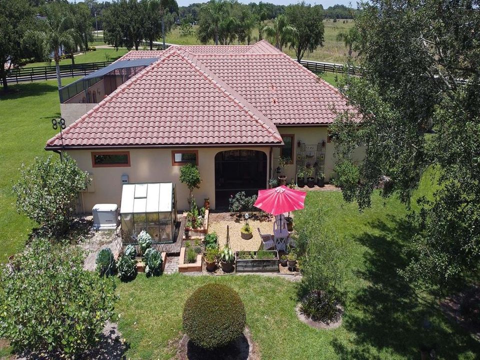 Backyard view of garden area